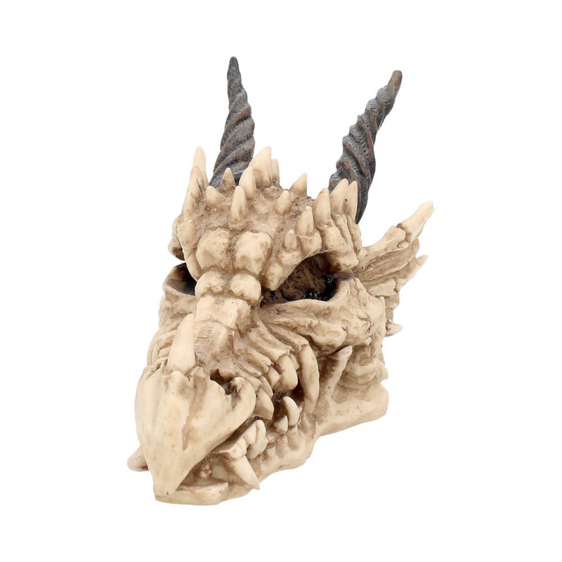 Dragon Skull Box - CRITIT