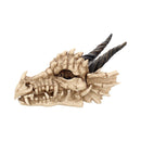 Dragon Skull Box - CRITIT